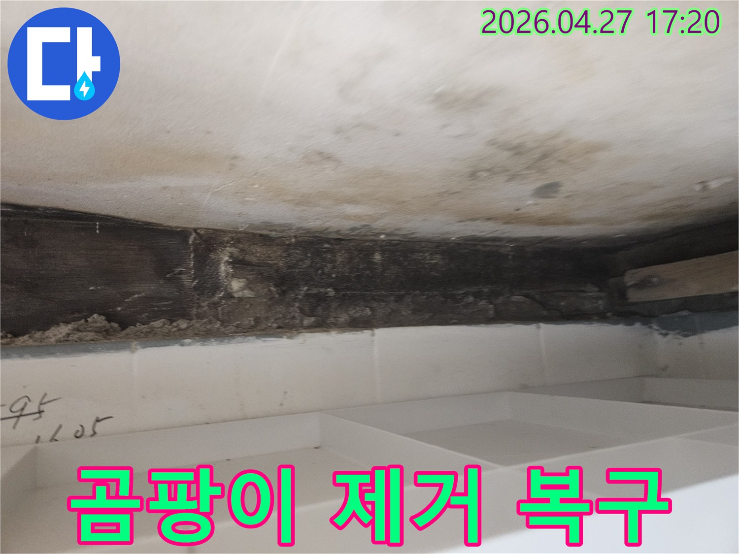누수로 인해-욕실 천장-벽면에-발생한-곰팡이를-제거하고-원래의-깨끗한-상태로-복구하기-위한-현장-사진