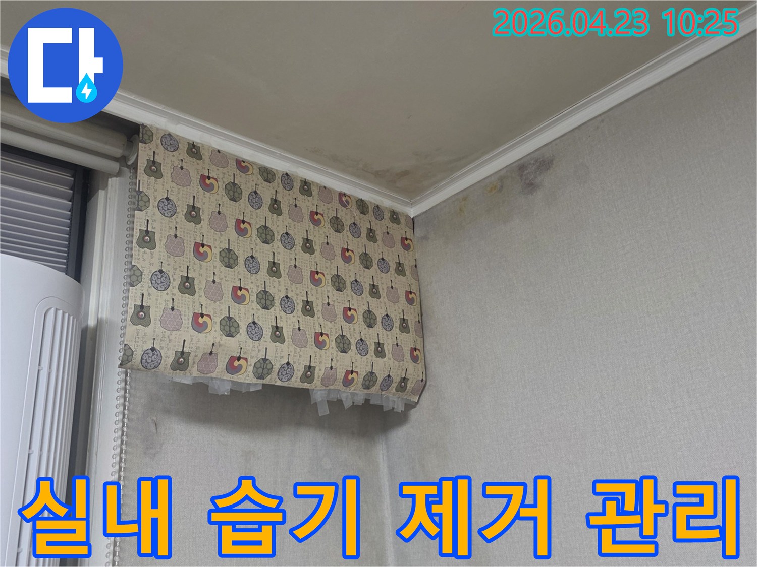 누수로-인해-실내-습기가-높아져-곰팡이가-번식한-현장에서-습기-제거-및-관리가-필요한-사진입니다
