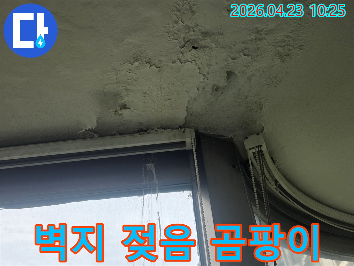 창문-상단-천장과-벽면에서-누수로-인해-벽지가-젖고-곰팡이가-생긴-상황입니다