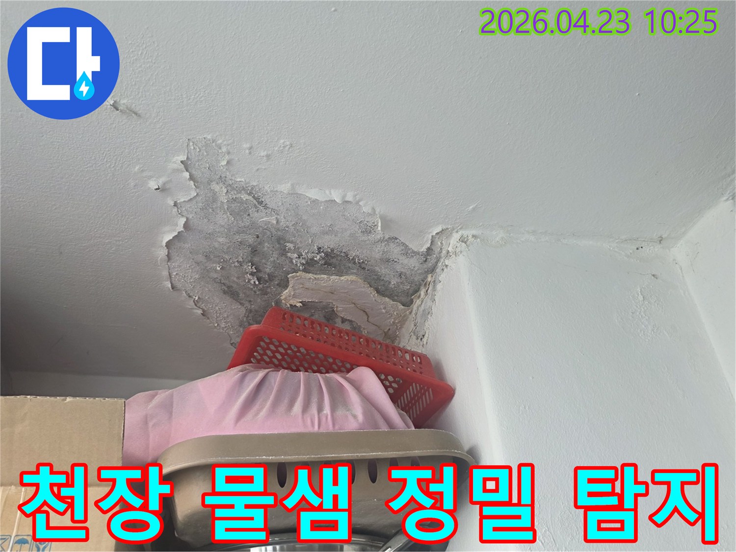 천장 모서리에서 물이 새어-벽지가 젖고-곰팡이가 번진 상황-정밀 탐지 전