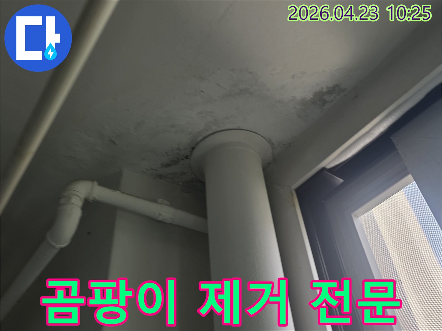 천장 배관 주변에 발생한 곰팡이를 전문적으로 제거하는 과정