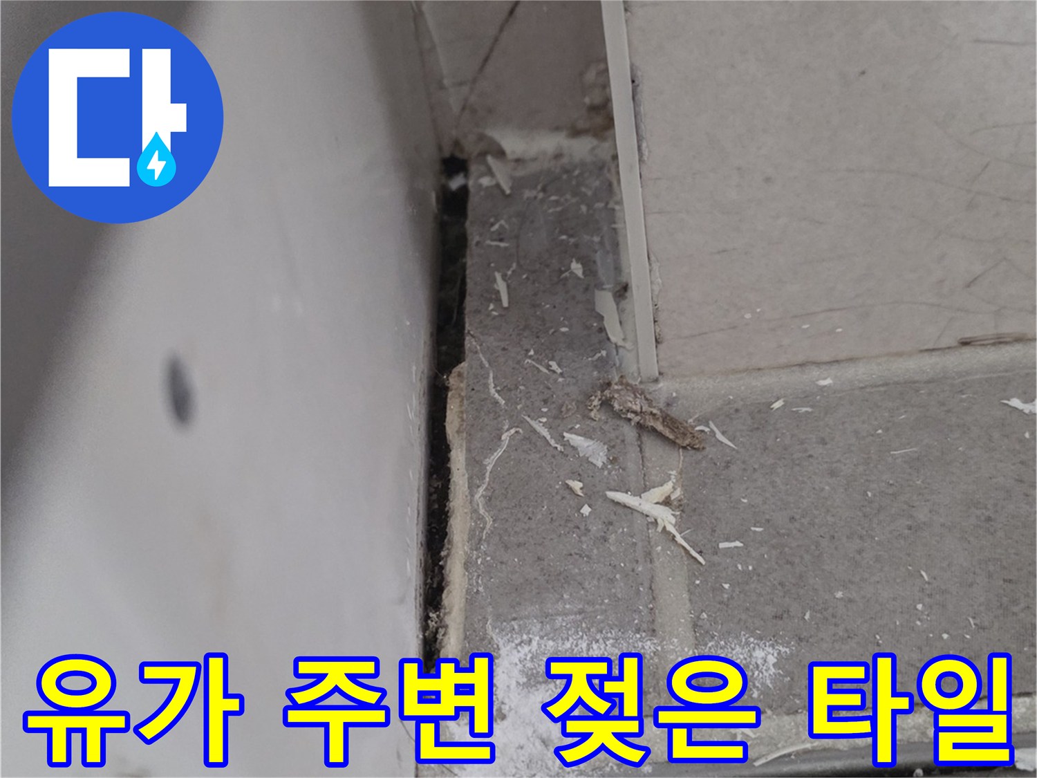 물기가 스며들어 축축해진 화장틈새와 배수구 부위