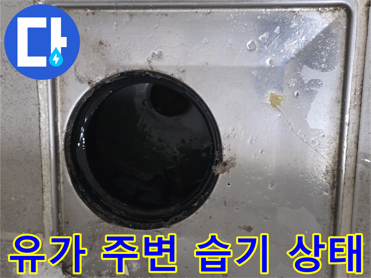 욕실-배수구-금속-덮개-주변의-축축한-상태를-촬영한-사진