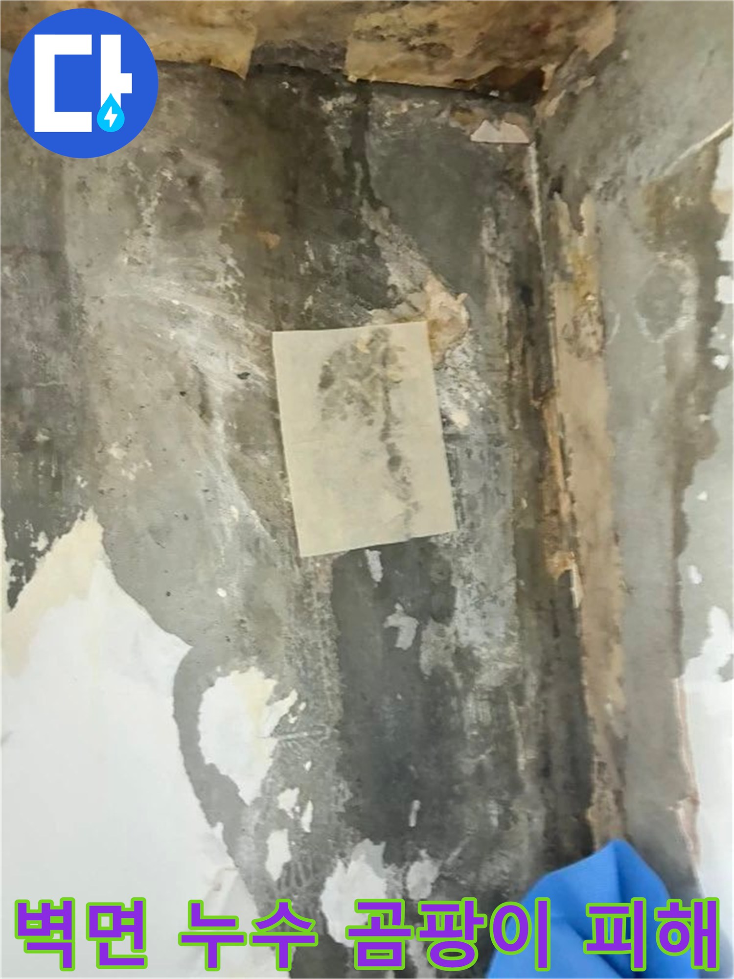 벽면에 나타난 광범위한 곰팡이와 물자국은-누수 문제의 심각성을 시각적으로 보여줍니다