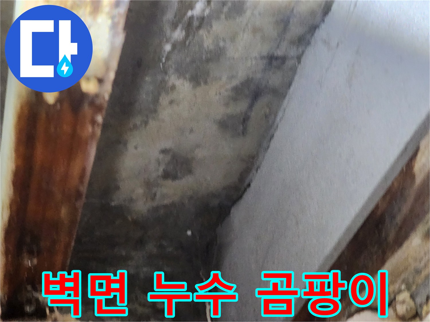 이 사진은 벽면과 천장 경계에서 발생한 누수로 인한 곰팡이와-오염 상태를 명확히 보여줍니다