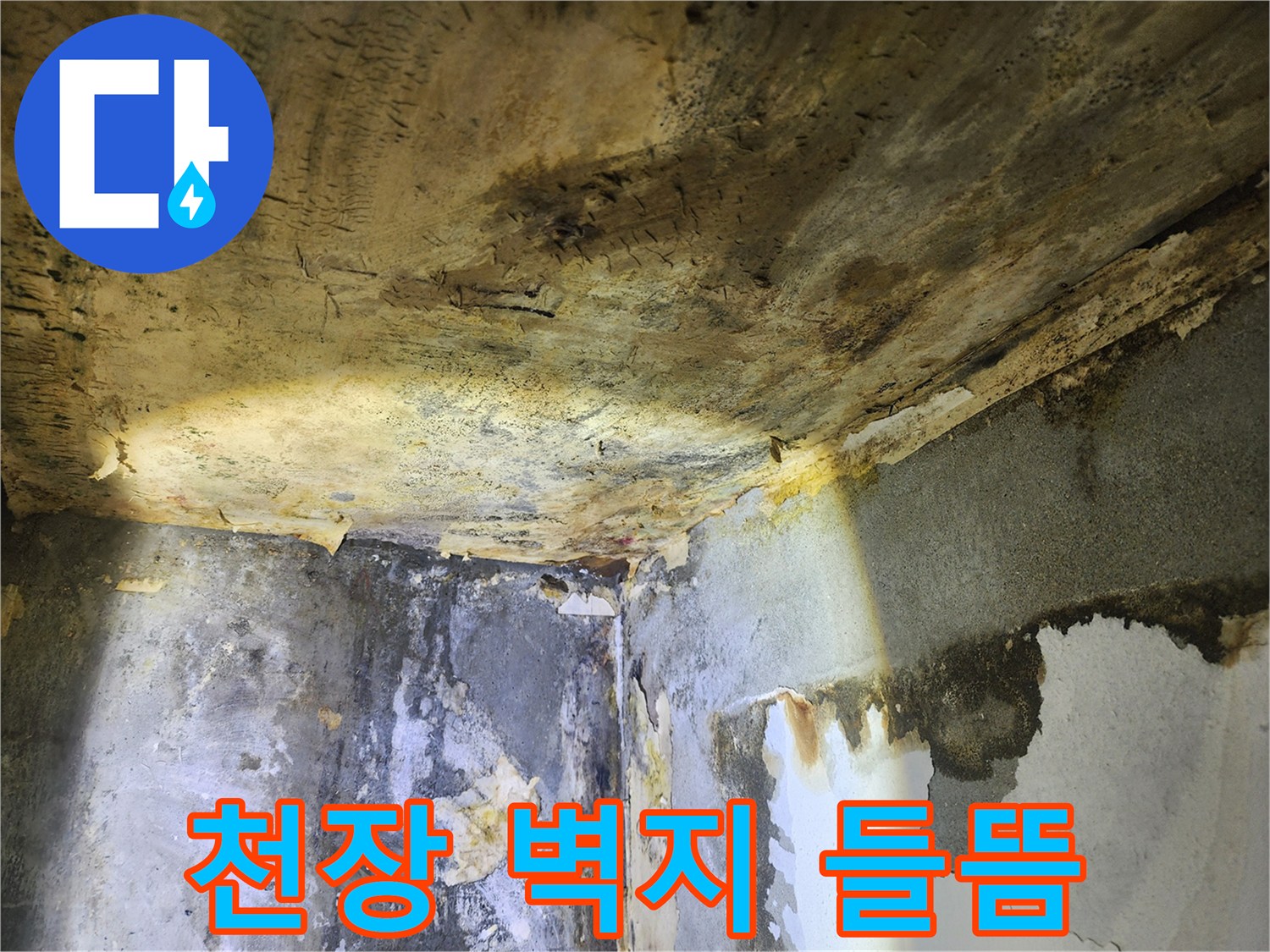천장과 벽면의-누수로 인한 벽지 들뜸과-심각한 물샘 흔적을-보여주는 현장 사진