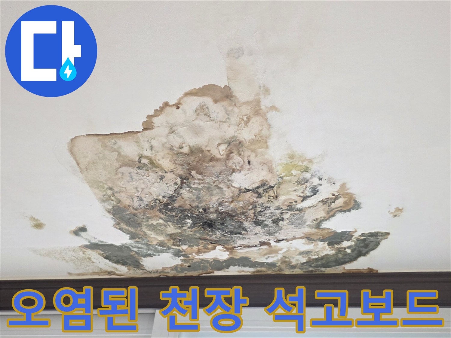 습기로 인해 부풀어 오르고 곰팡이가 생긴 천장 면