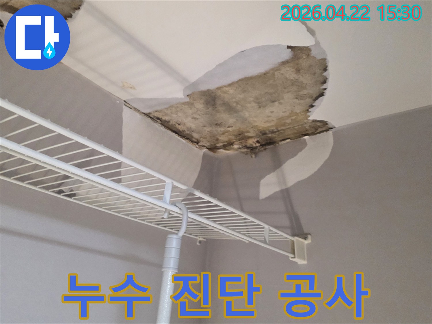 천장-누수-현장에서-진단부터-공사까지-원스톱으로-처리하는-누수-전문가의-모습
