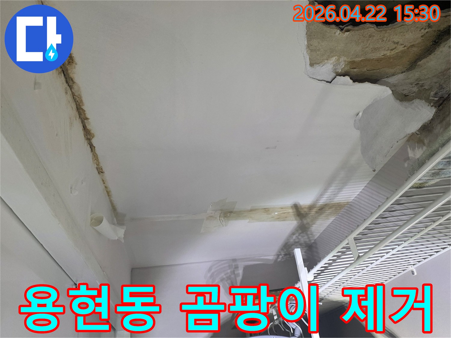 천장 누수로 인해 물자국과-곰팡이가-심하게-발생하고-마감재가-손상된-현장-사진입니다