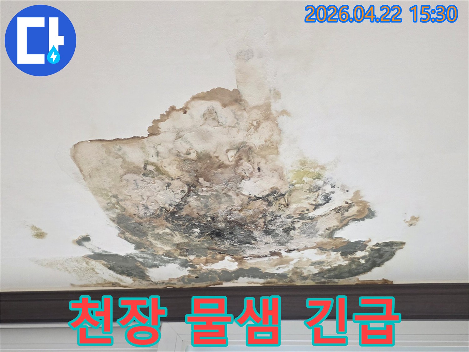 천장에서-물이-새고-곰팡이가-번져-누수-긴급-진단-및-처리가-필요한-상황입니다