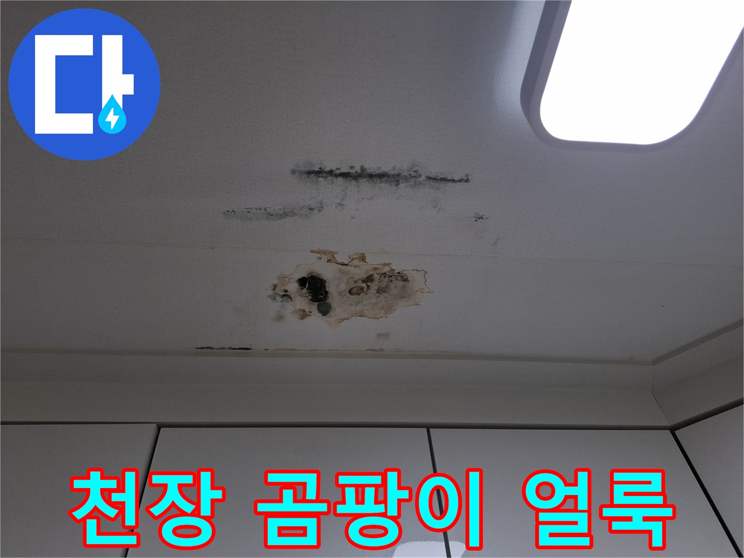 남양주 평내동 아파트 천장에 발생한 검은 곰팡이와 갈색 물자국