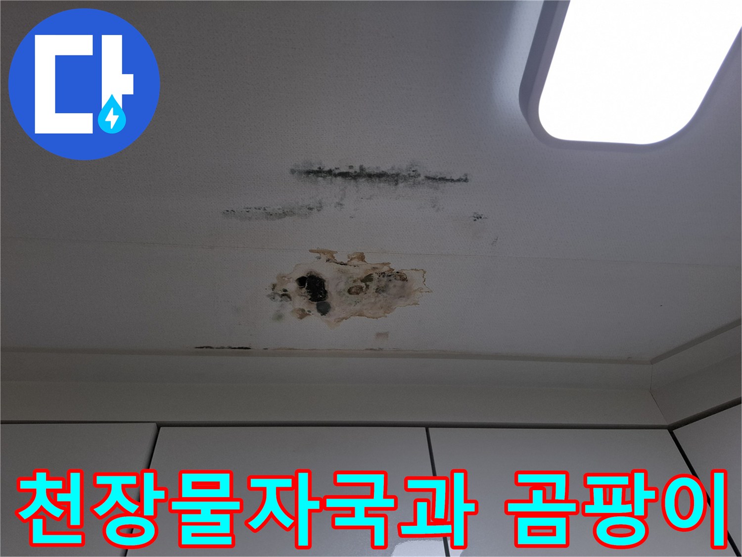 남양주 평내동 현장-아랫집 천장에 발생한 갈색 물자국과 검은 곰팡이 상태