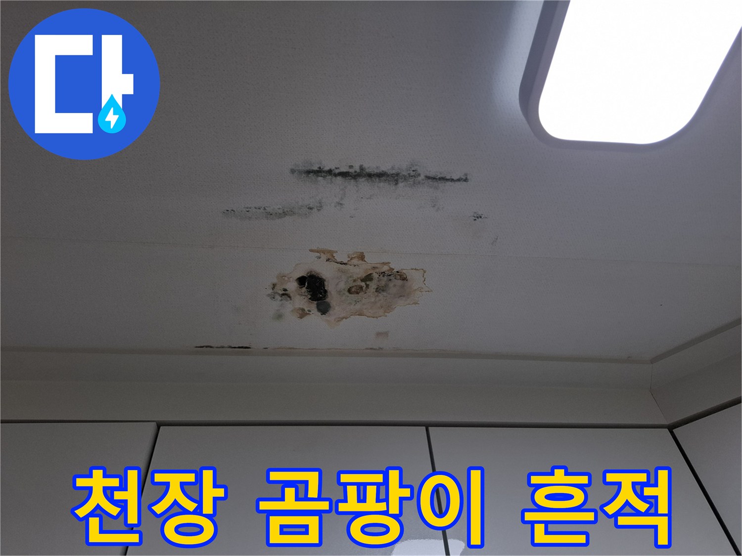 아랫집 천장에 나타난 갈색 물자국 및 검은 곰팡이 오염 상태