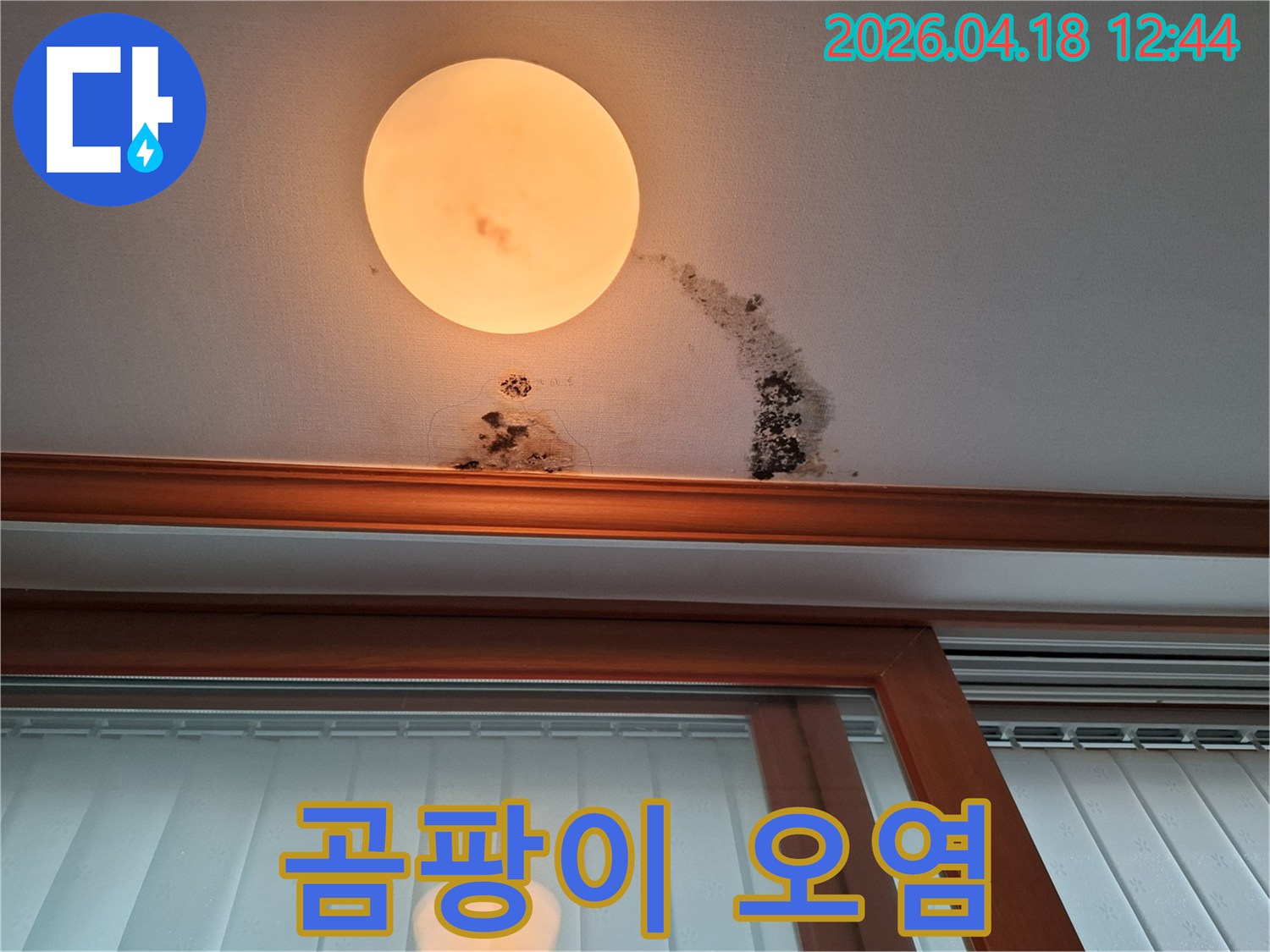 조명-주변-천장에-물이-새어-곰팡이-얼룩이-생긴-모습