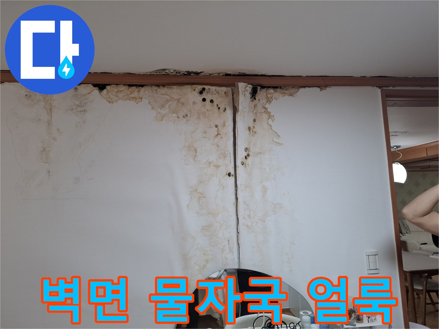 천장 경계부의 갈색 수분 흔적과 검은 곰팡이 발생 부위