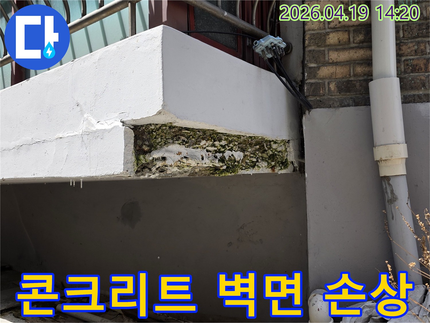 누수로-인해-콘크리트-벽면이-부식되고-곰팡이가-발생한-심각한-손상-상태