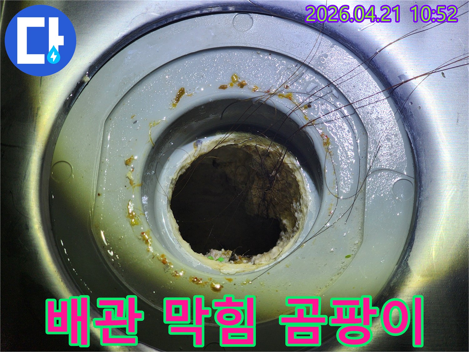 머리카락과 이물질로 막혀 습기가 차고 곰팡이가 발생하기 쉬운 배수관 내부의 모습입니다
