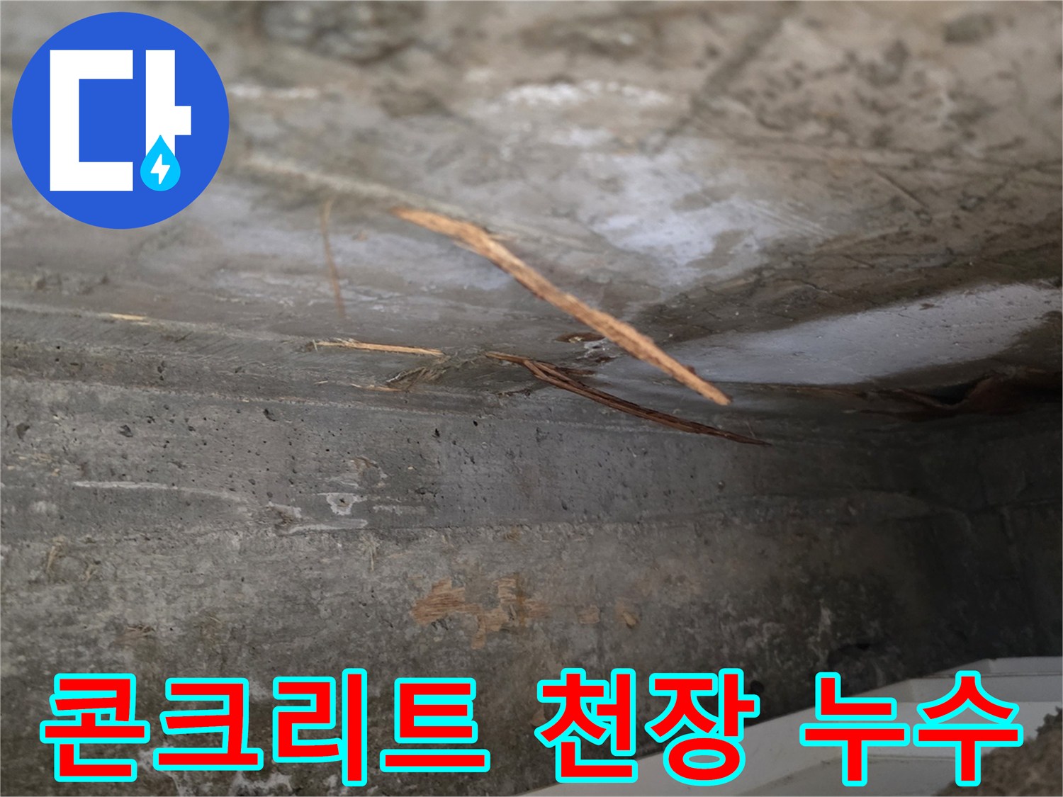 천장 콘크리트의-젖은 부분과-함께-드러난-이물질의-누수 현장