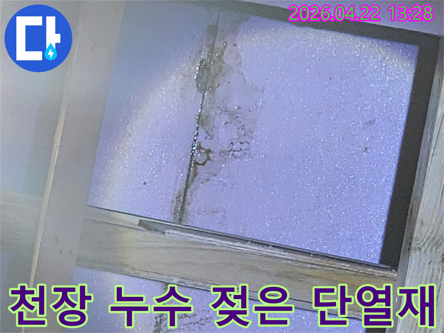 천장-단열재가-물에-젖어-변색되고-일부-곰팡이가-시작된-모습을-보여주는-사진