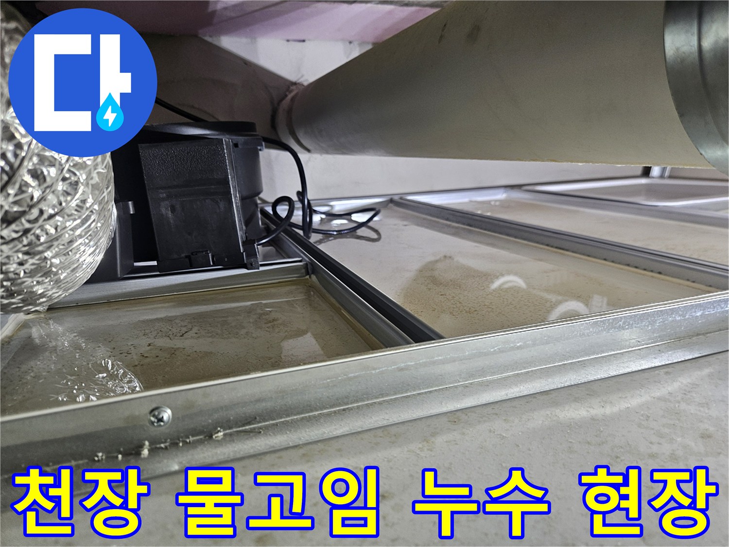 천장 배관에서 발생한 누수로-물이 고여있는-심각한 누수 현장-정밀 진단이 필요한 상황