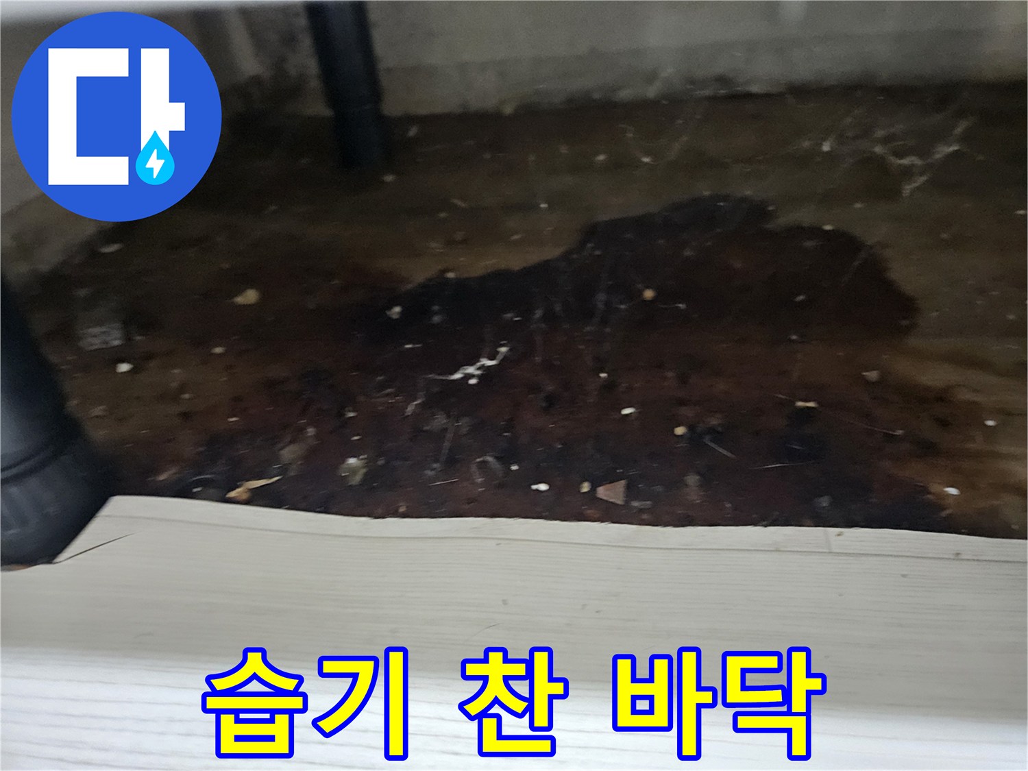 배관에서-물이-새어-나와-바닥에-고여-오염된-상태를-누수-엔지니어가-촬영한-사진