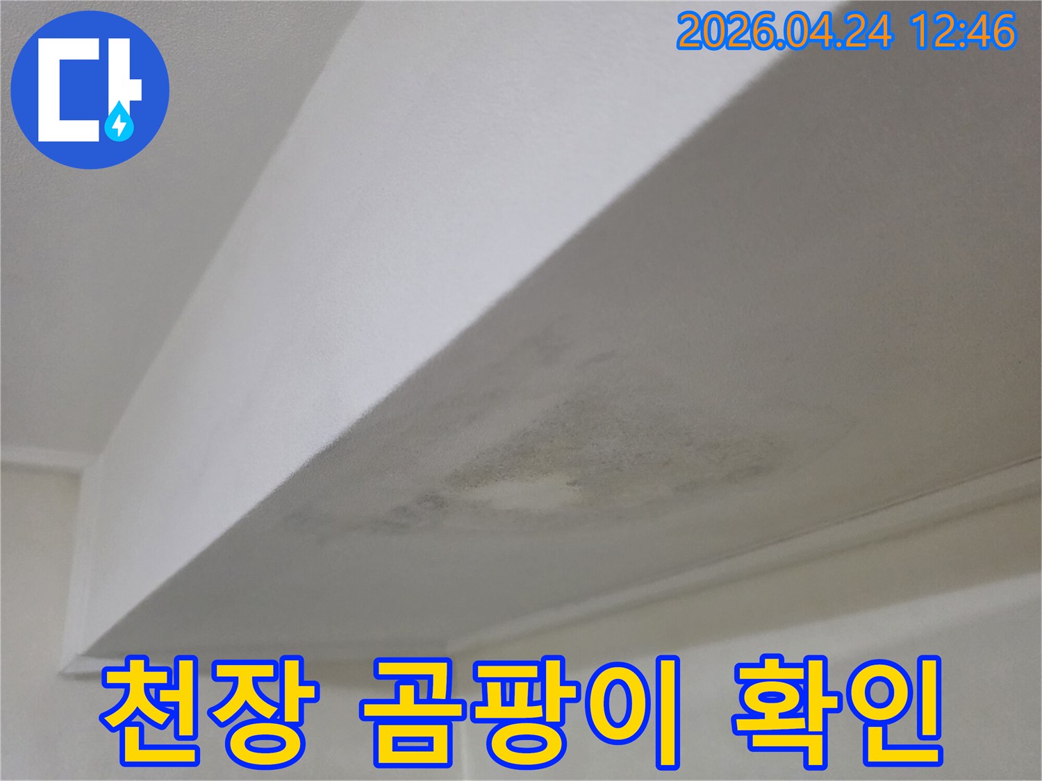 천장에 발생한 곰팡이와 물자국-누수 여부를 확인하기 위해 전문가가 현장을 점검하는 사진