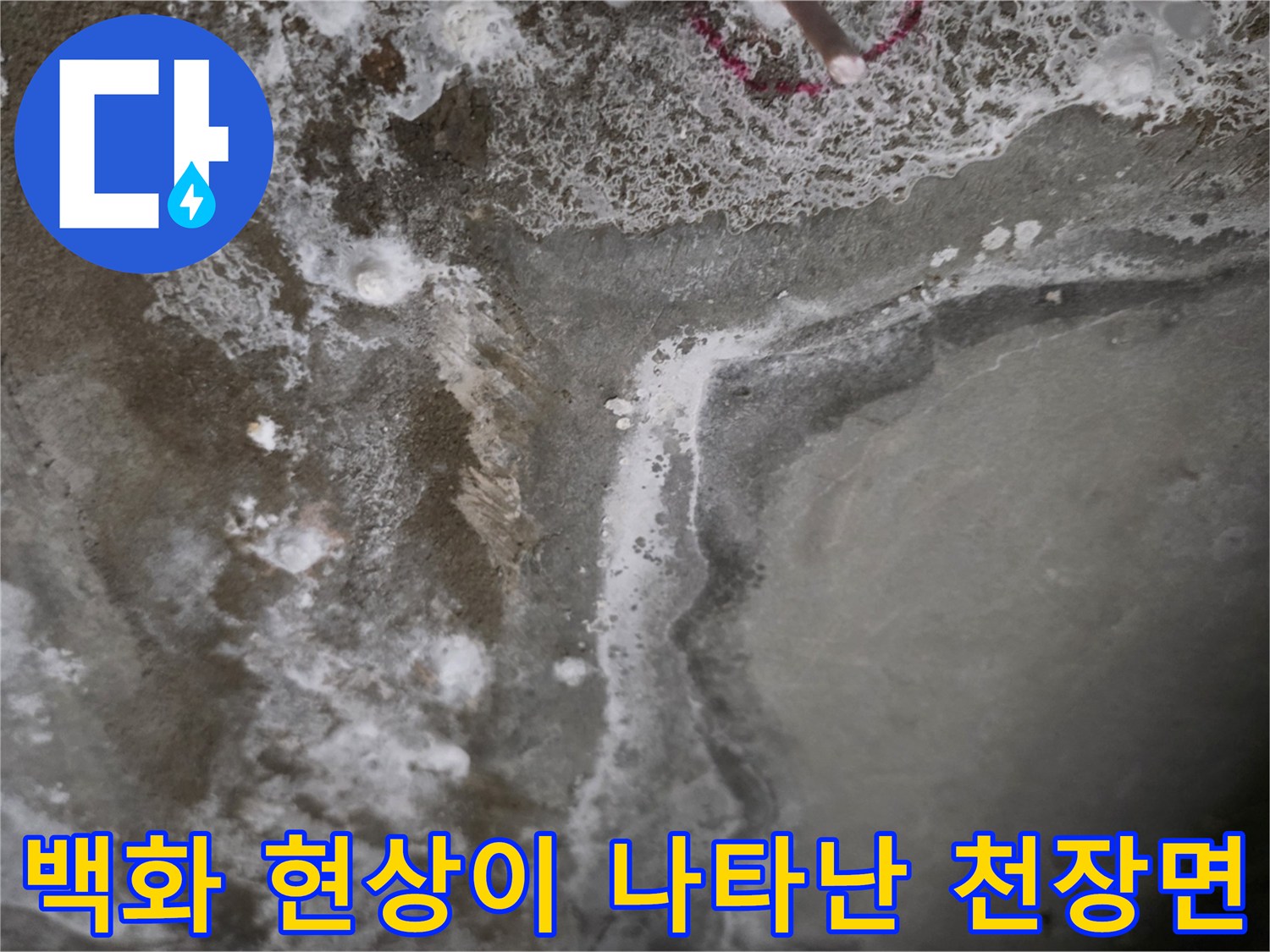 누수 발생 부위-하얗게 일어난 콘크리트 백화 현상