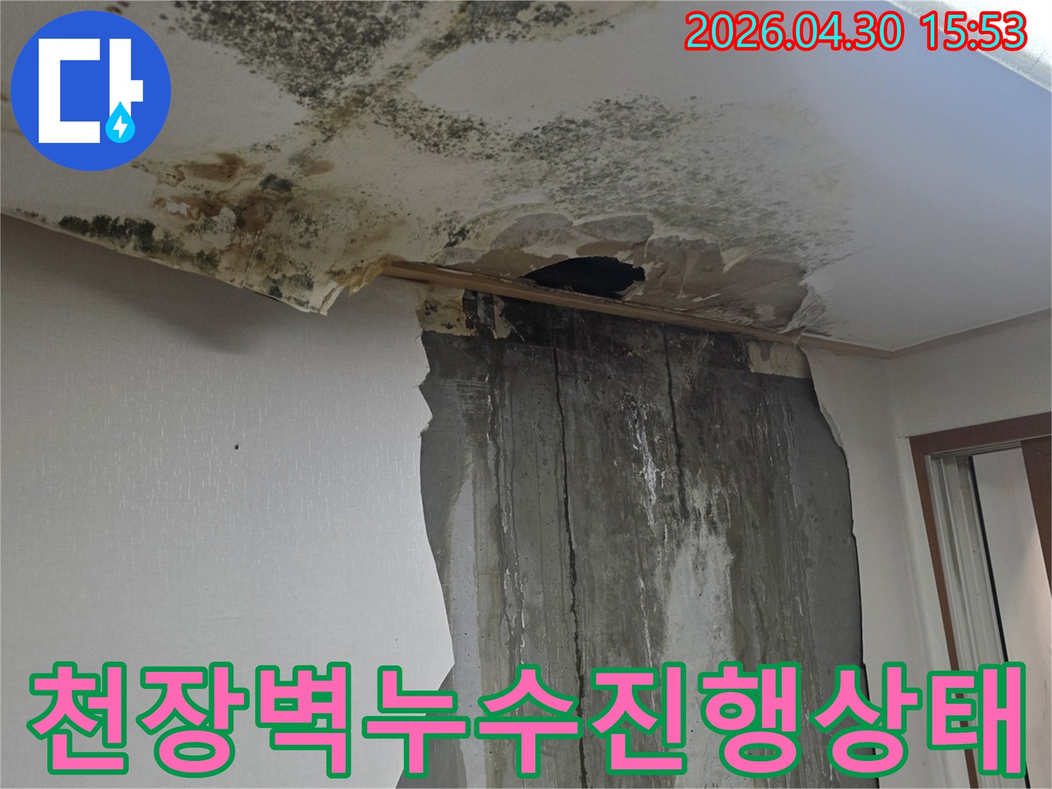천장과 벽에 물이 새어 벽지가 훼손되고 곰팡이가 번식한 심각한 누수 피해 현장을 보여주는 사진입니다.