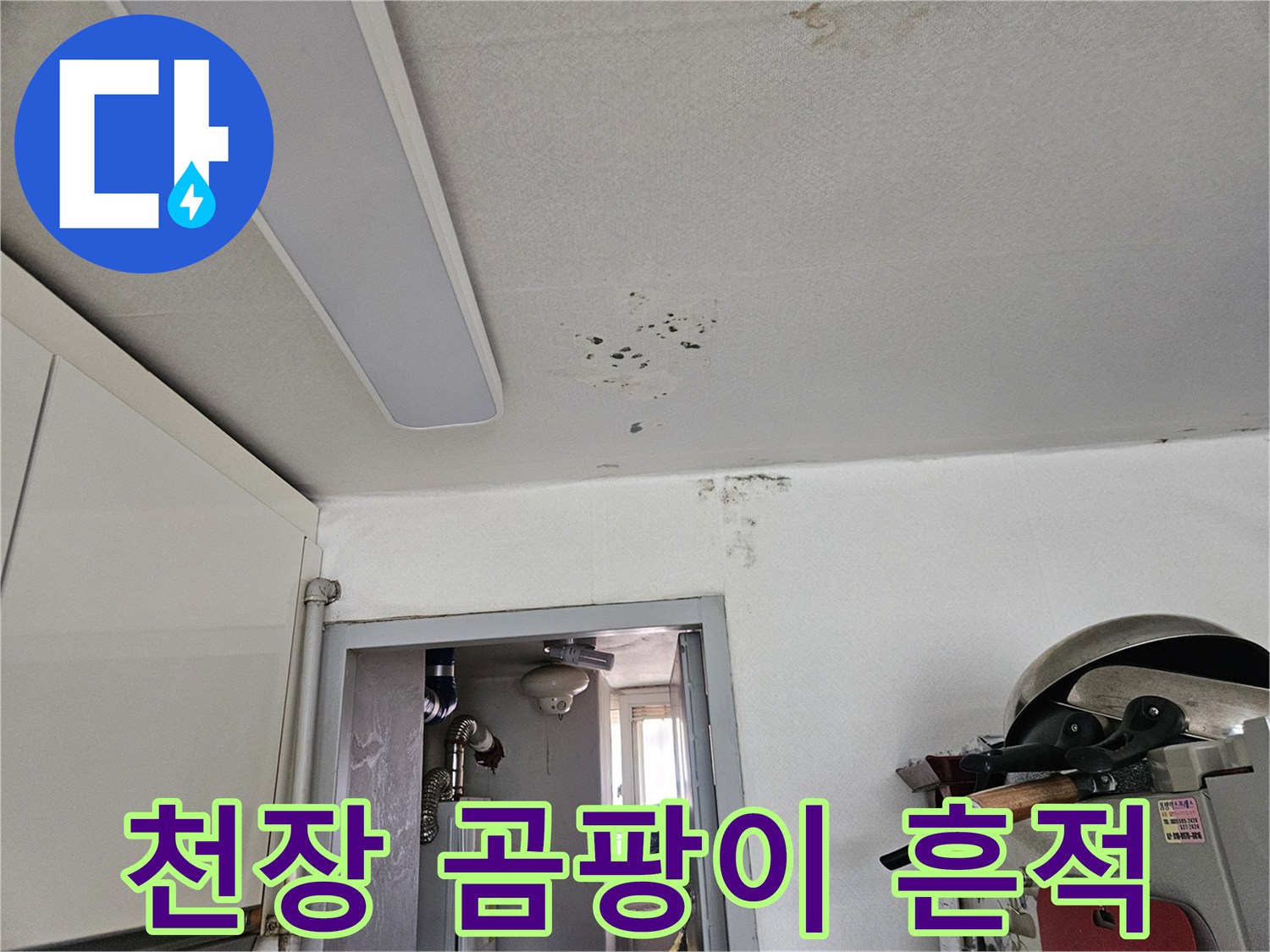 천장 마감재 부근의-곰팡이와 물샘 흔적 조사