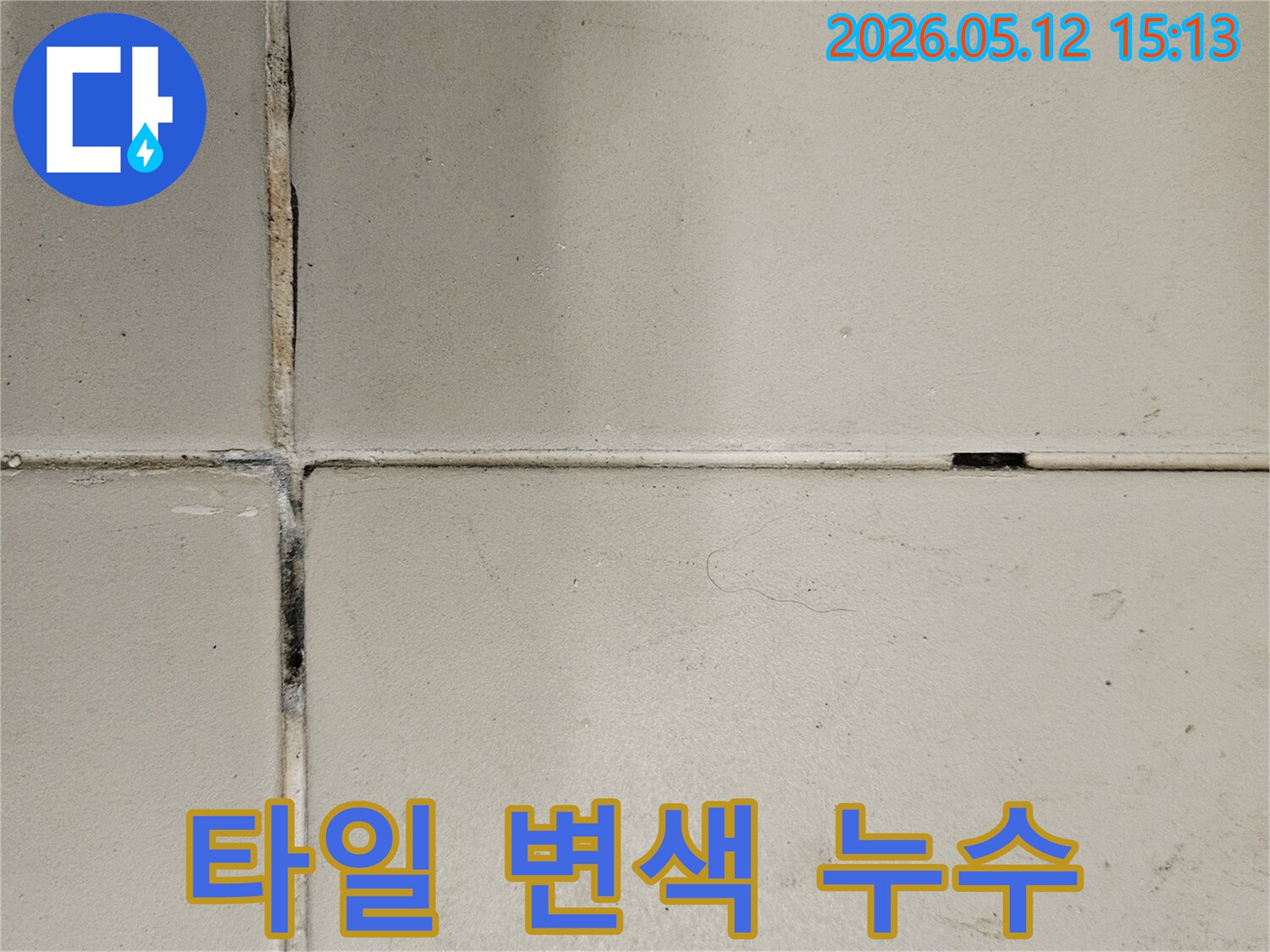 누수-전문가가-현장에서-발견한-타일-줄눈의-심각한-오염-상태를-기록한-이미지입니다