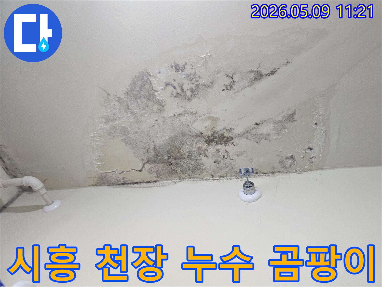 시흥 아파트 천장에 발생한 심각한 누수와-곰팡이 오염 현장 모습
