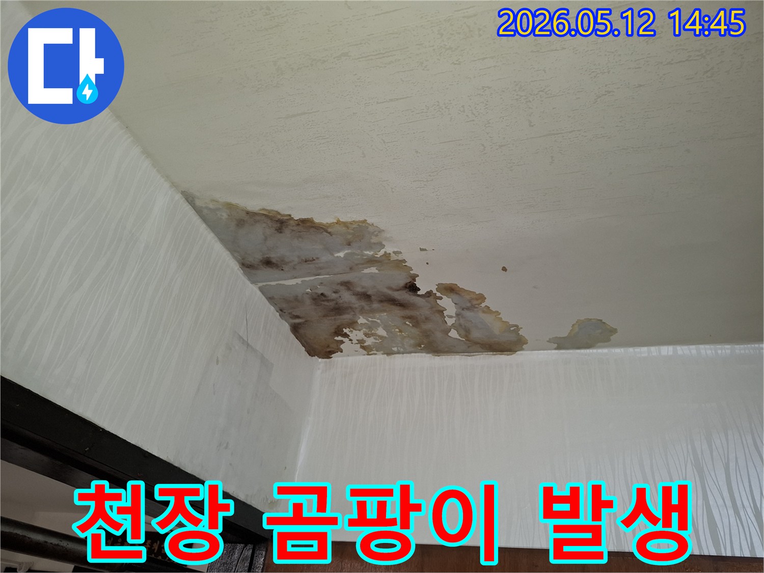 윗집 누수로-천장 마감재가-손상되고-물이 흘러내려-벽면까지-젖은-현장을-보여주는-이미지입니다