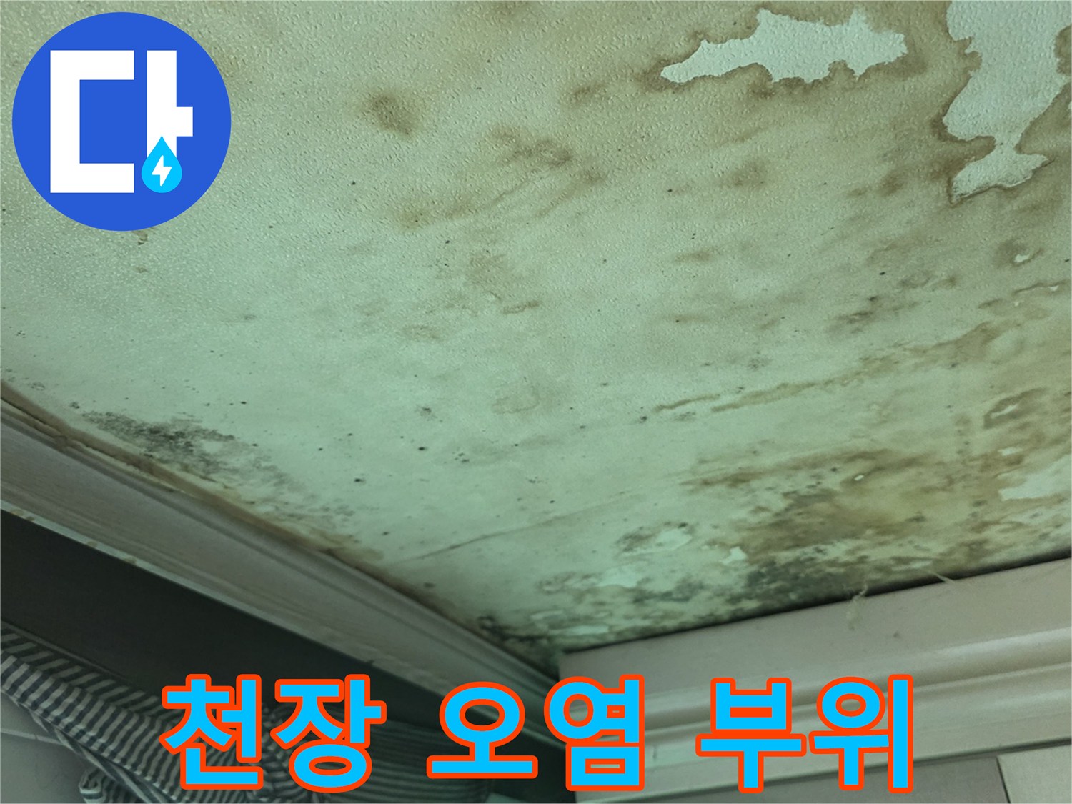 천장 벽면의 심한 변색과 곰팡이 발생 - 현장 점검 사진