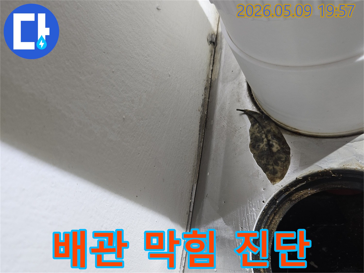 배수구에 쌓인-이물질과-주변 오염은-배관 막힘으로 인한-누수 위험을-경고하고 있습니다.