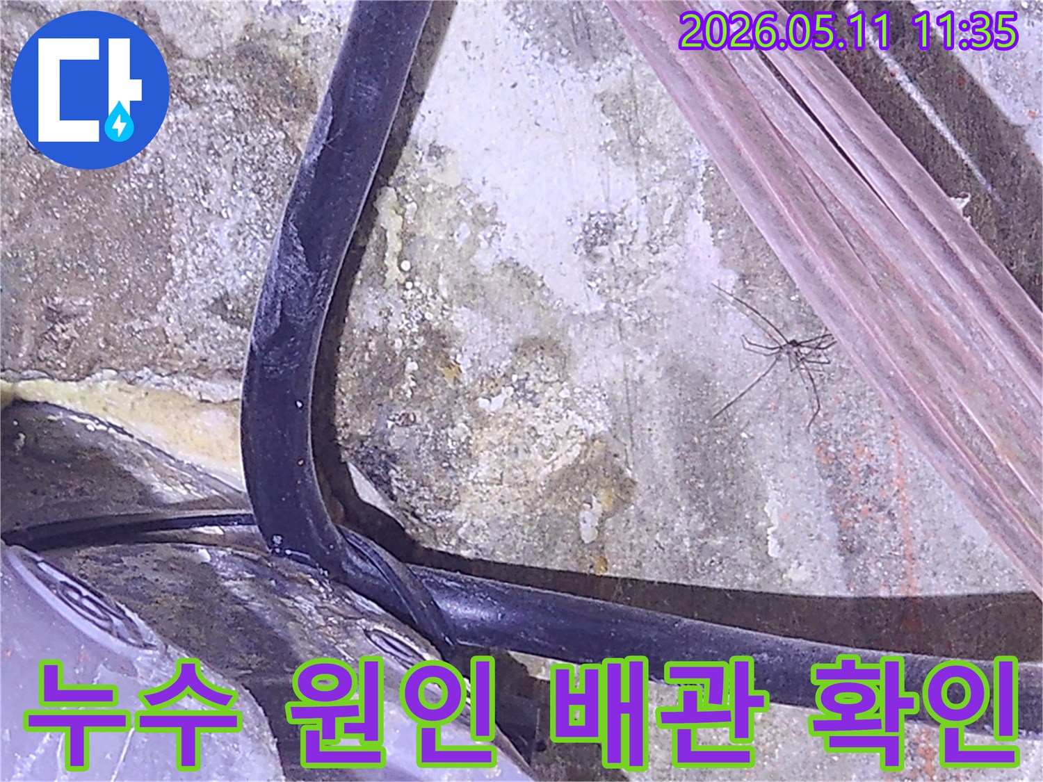 누수-탐지-전문가가-현장에서-배관-주변의-습기와-오염을-확인하는-모습