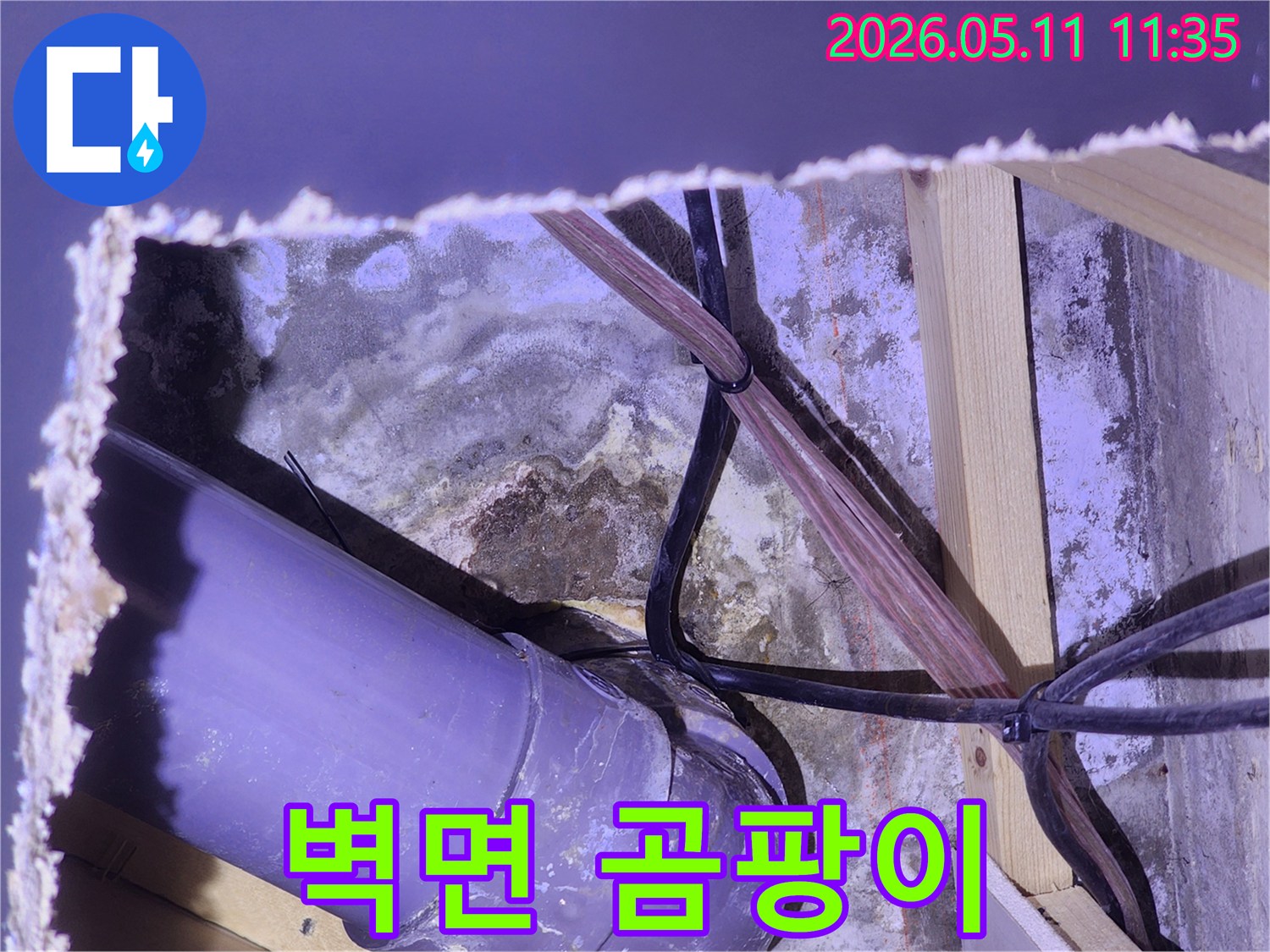 천장-속-숨겨진-공간에서-배관-누수로-인해-발생한-벽면의-심각한-곰팡이-문제를-보여줍니다.