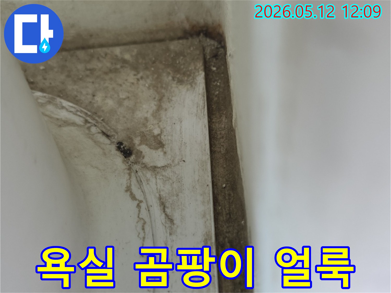 욕실-모서리-부분에-발생한-물샘-자국과-곰팡이로-인한-오염-현상