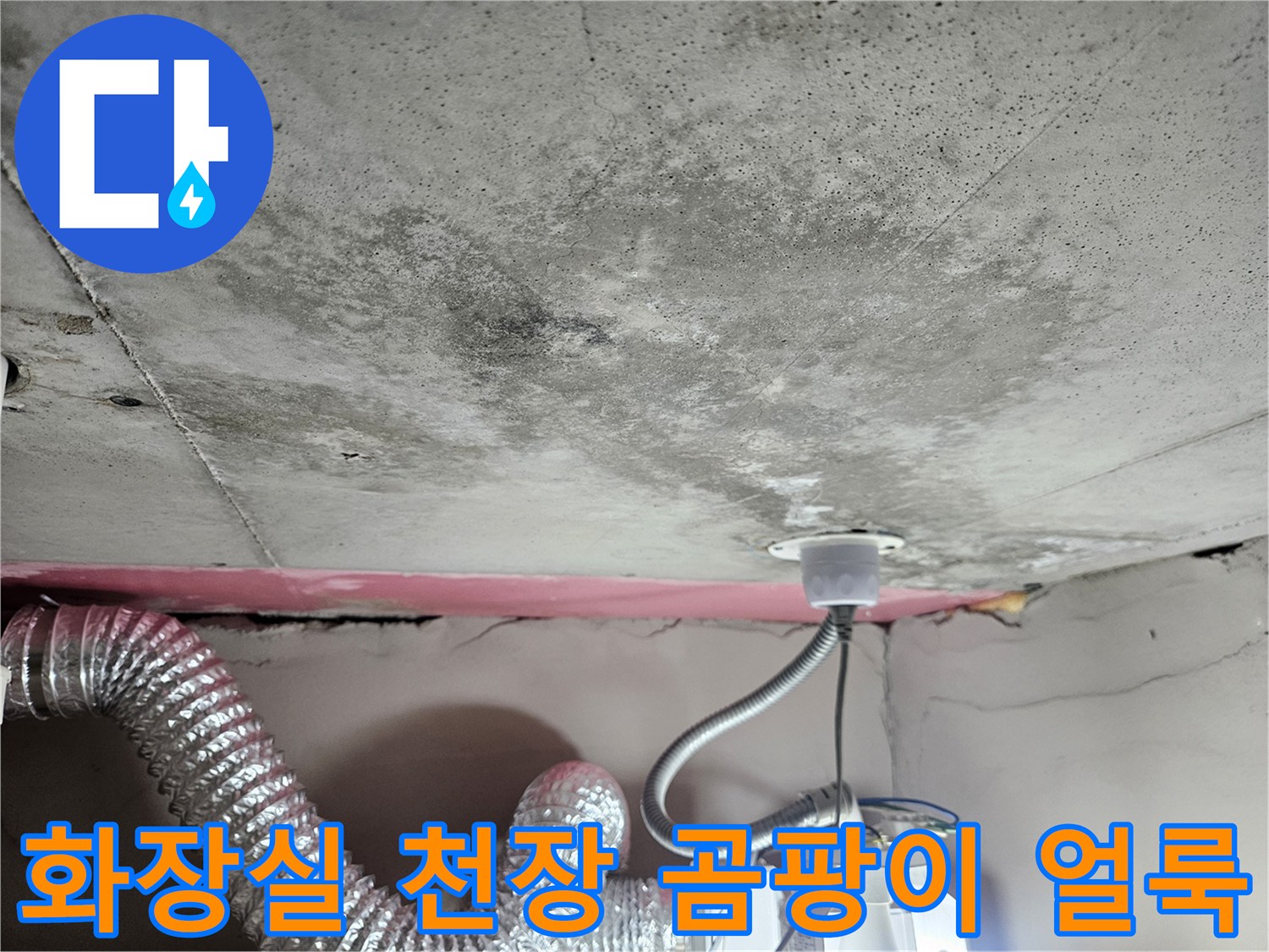 서산 성연면 아파트 화장실 천장 슬래브의 곰팡이와 물자국 현황