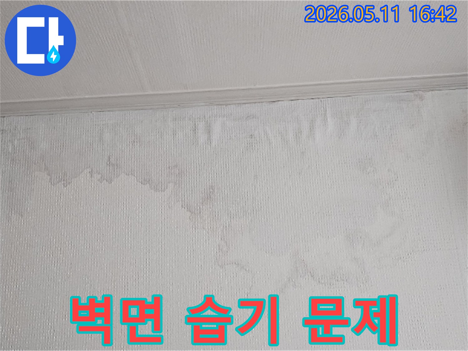 벽면에 나타난 물 얼룩과 벽지 손상은 누수의 명확한 증거입니다-전문 장비를 이용한 정밀 탐지가 필수입니다