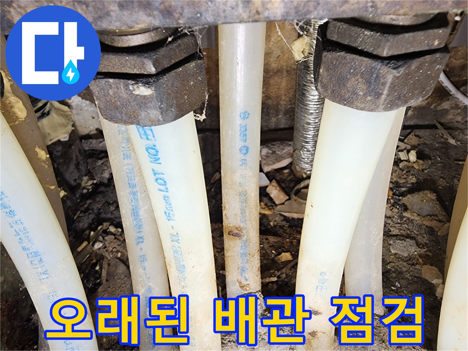 오래된 배관에서-발생한 누수를-종합적으로 점검하고-수리 계획을 세우는 모습