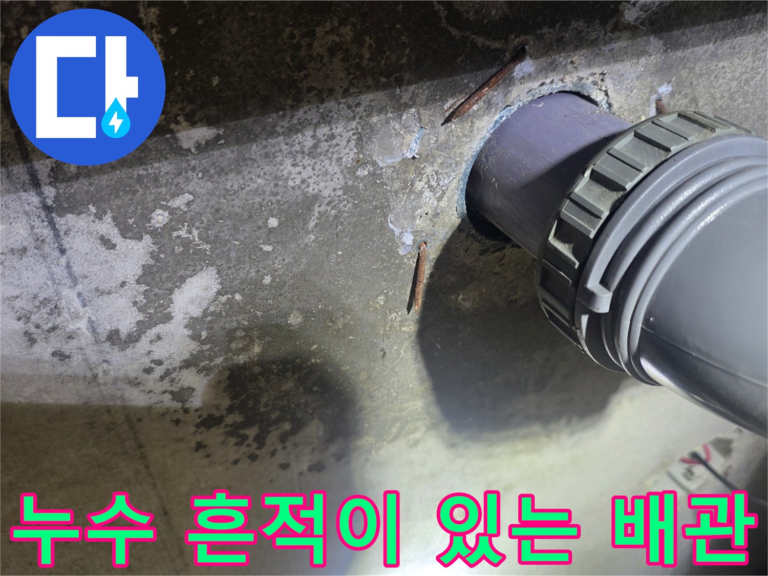 하수 배관 연결부의 습기 및 오염된 벽면 상태 상세