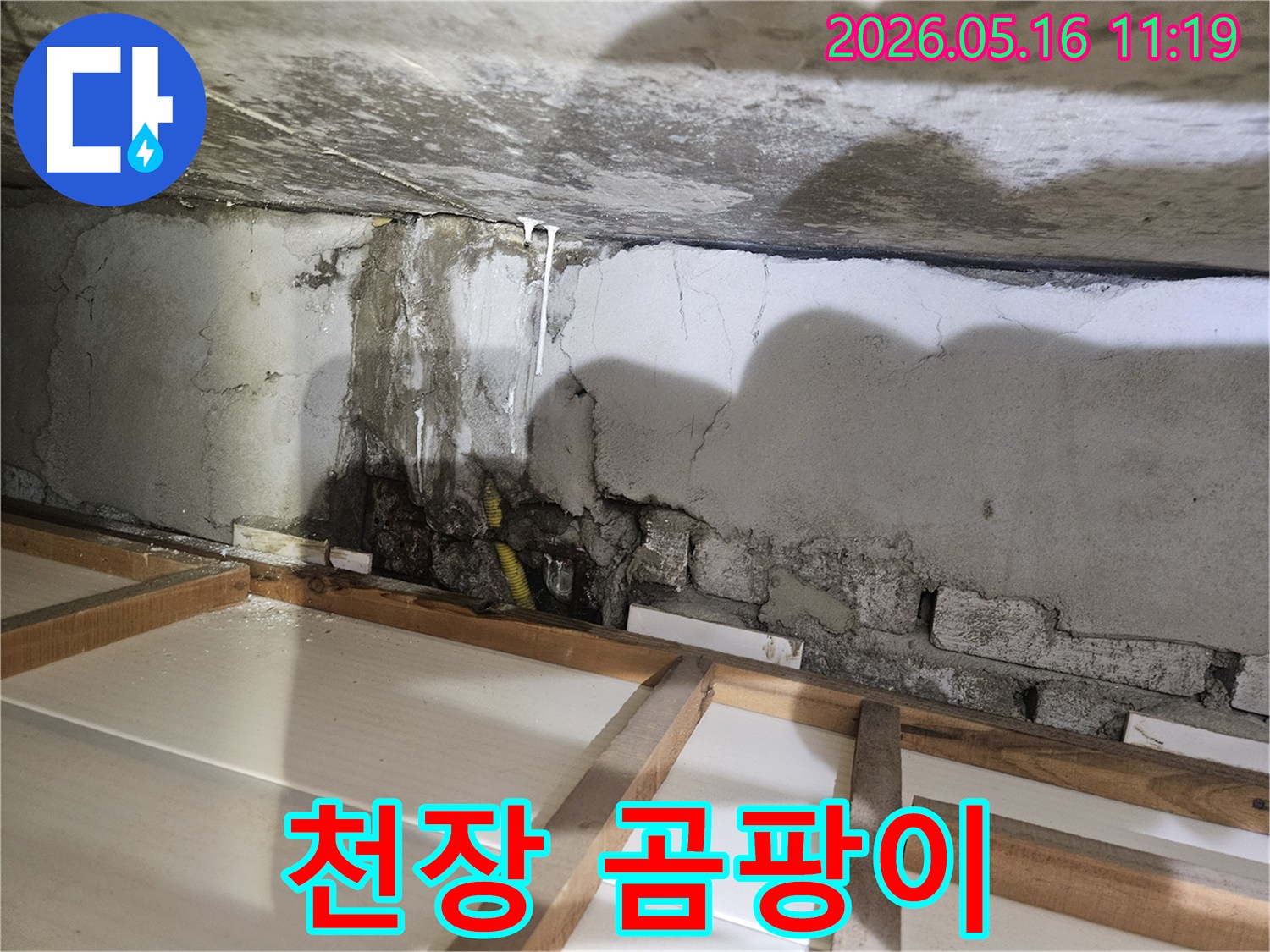 천장 물자국과 벽면 젖음으로-곰팡이가 발생하기 쉬운 누수 현장