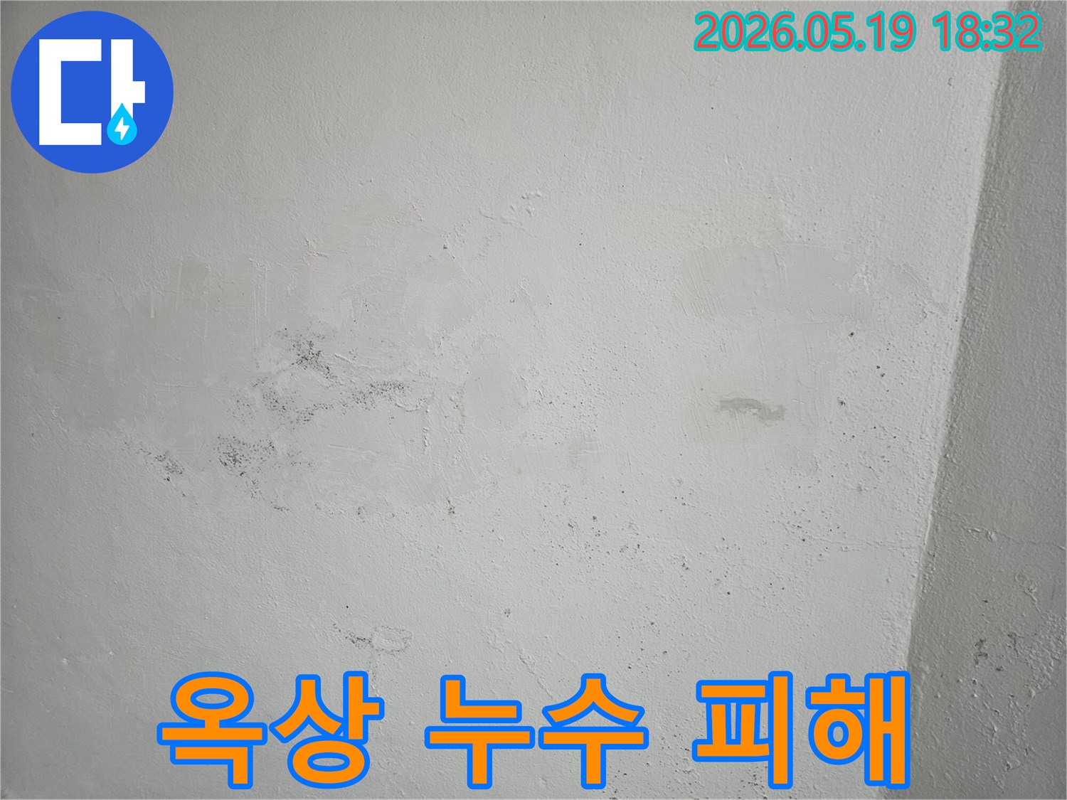 옥상-누수로-인해-천장과-벽면에-발생한-물얼룩과-곰팡이-피해-현장