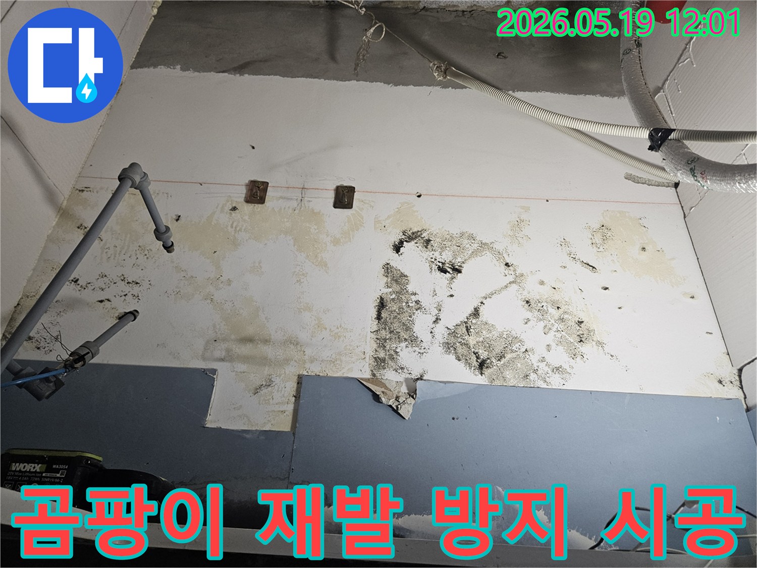 누수로-인해-벽면에-발생한-곰팡이-오염을-제거하고-재발-방지를-위한-완벽한-시공-과정을-설명하는-사진