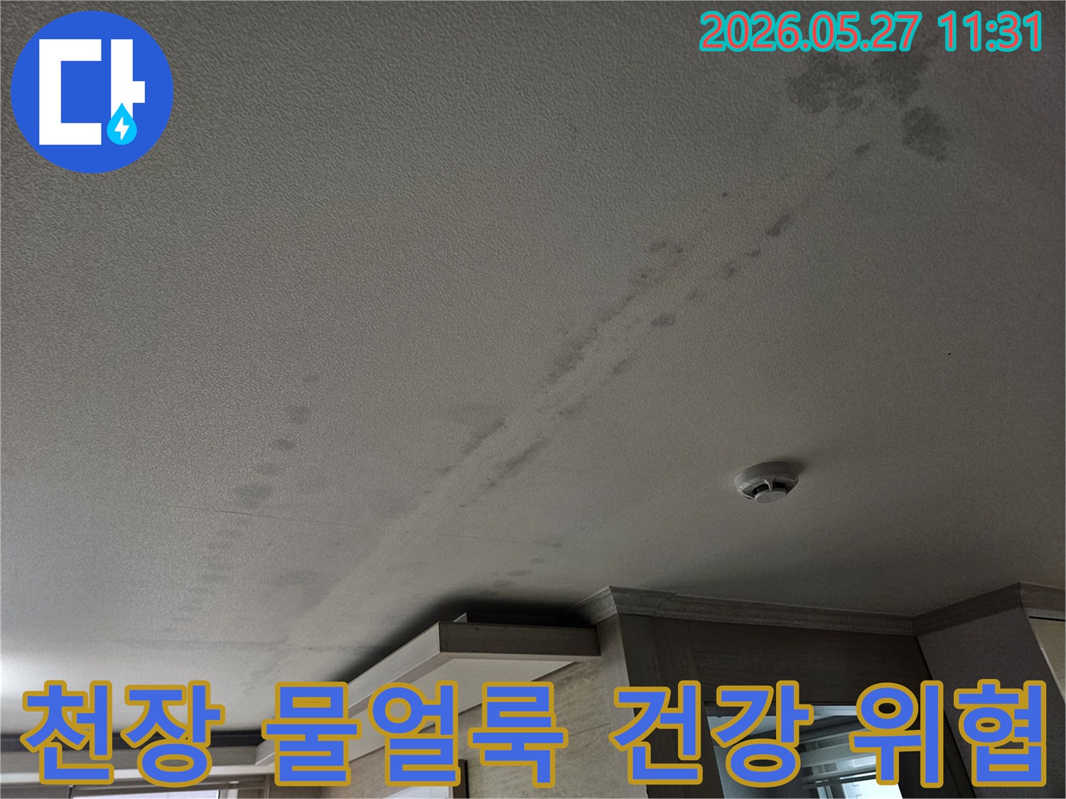 천장의-물얼룩은-곰팡이와-악취를-유발하여-건강을-위협할-수-있으므로-즉각적인-조치가-필요합니다