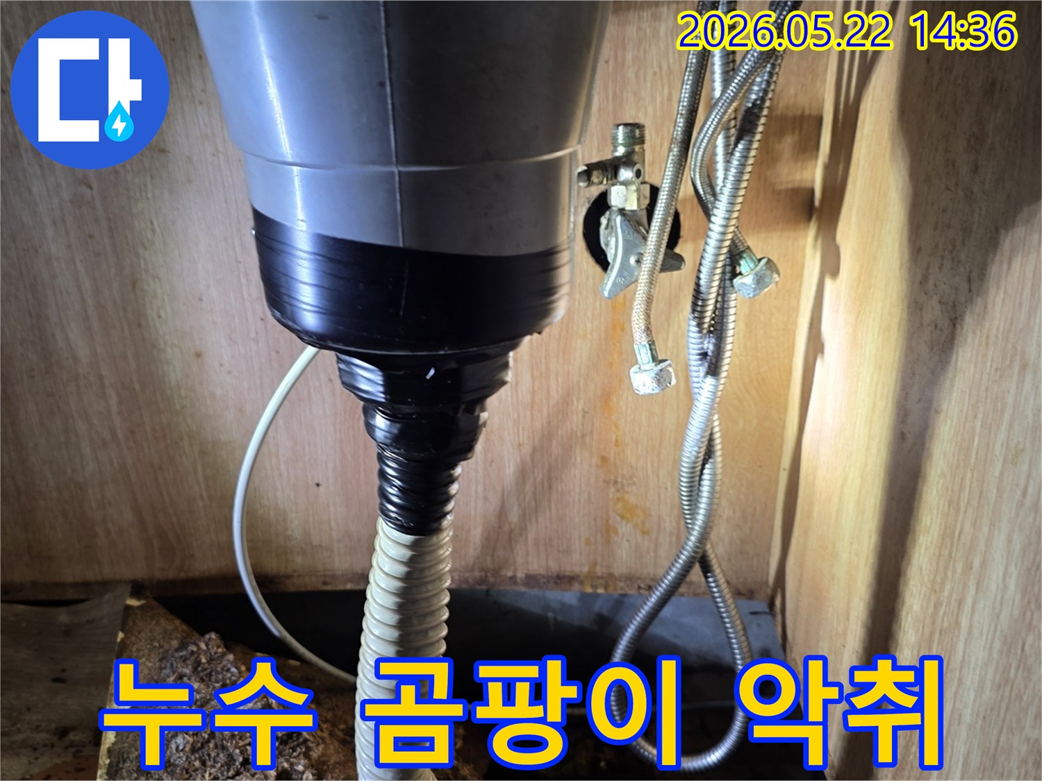 싱크대-하부의-습한-환경과-오염된-목재가-보이는-사진으로-곰팡이-발생-위험을-시사합니다