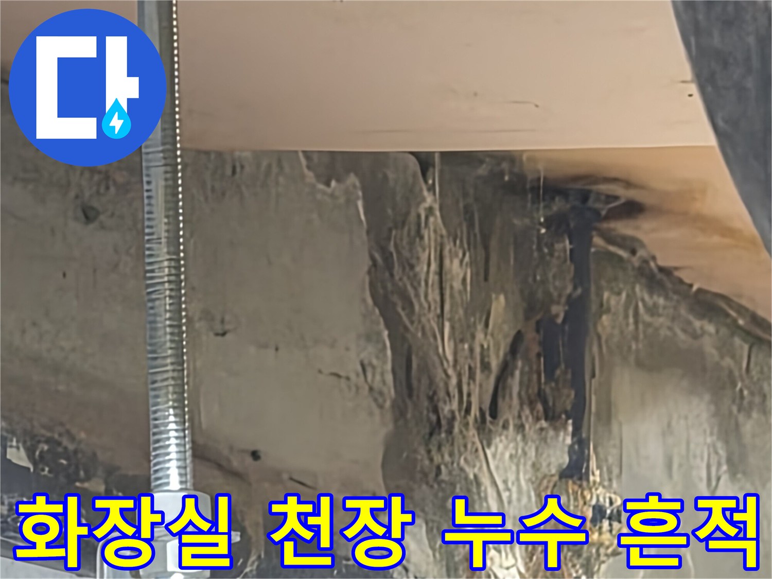 광명 아파트-화장실 천장 내부 배관 주변의 물기 및 오염 상태