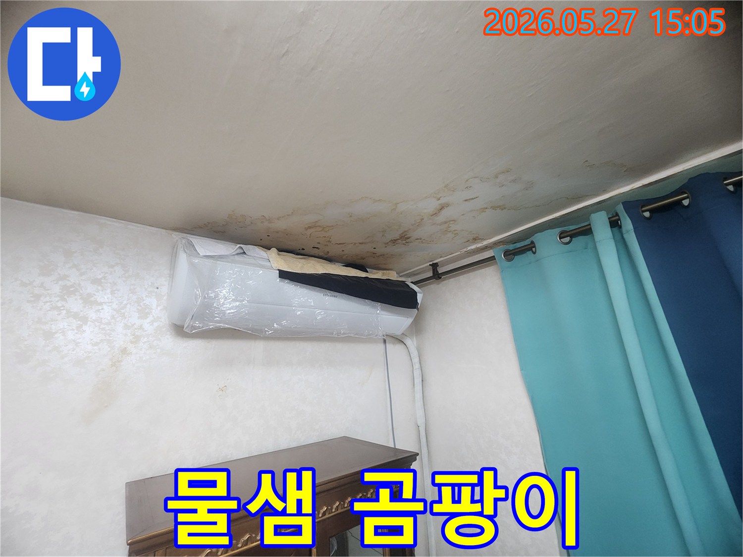 오래된 누수로 인해 천장 벽지가 젖고-곰팡이가 심하게 발생한 모습
