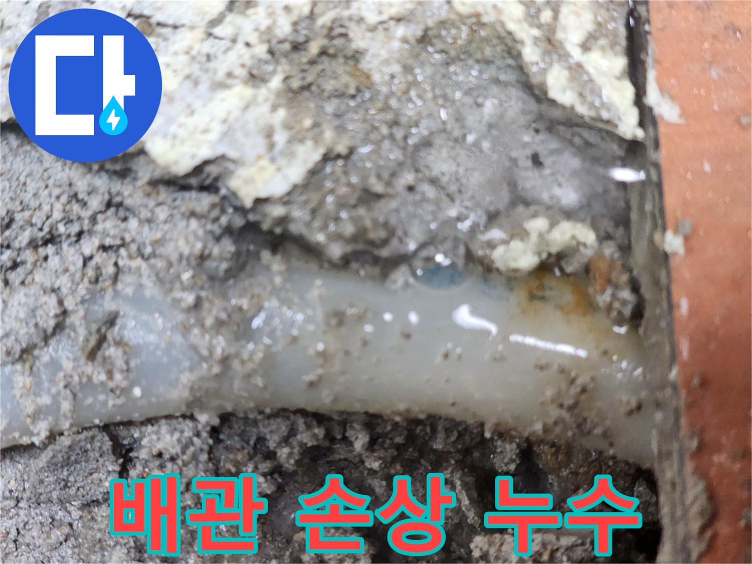 누수-전문가가-발견한-배관-손상으로-인한-누수-현장입니다
