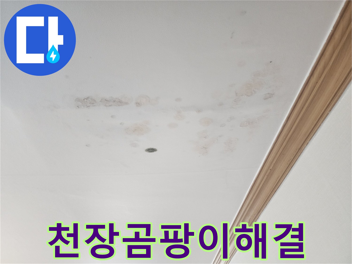 누수로 인해-천장에 발생한-곰팡이와-물얼룩은-위생적인 문제를-야기합니다.